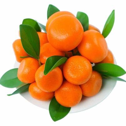 Small Orange